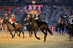 Cavalry - 00126